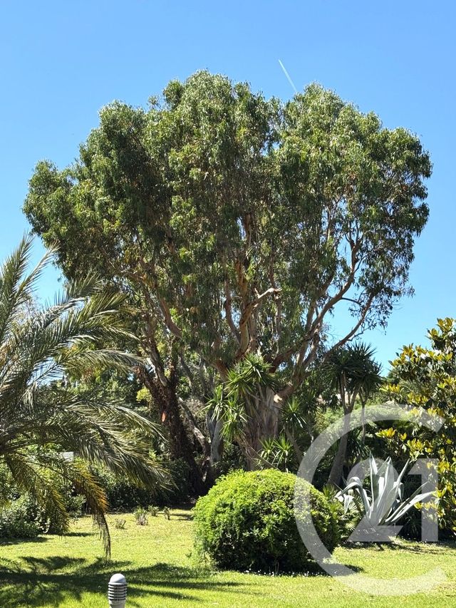 Appartement Studio à vendre - 1 pièce - 25.0 m2 - ST TROPEZ - 83 - PROVENCE-ALPES-COTE-D-AZUR - Century 21 Thomas Thum Immobilier