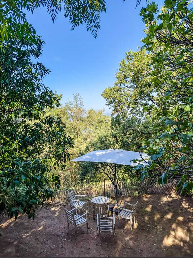 Afficher la photo en grand maison à vendre - 6 pièces - 195.0 m2 - GASSIN - 83 - PROVENCE-ALPES-COTE-D-AZUR - Century 21 Thomas Thum Immobilier